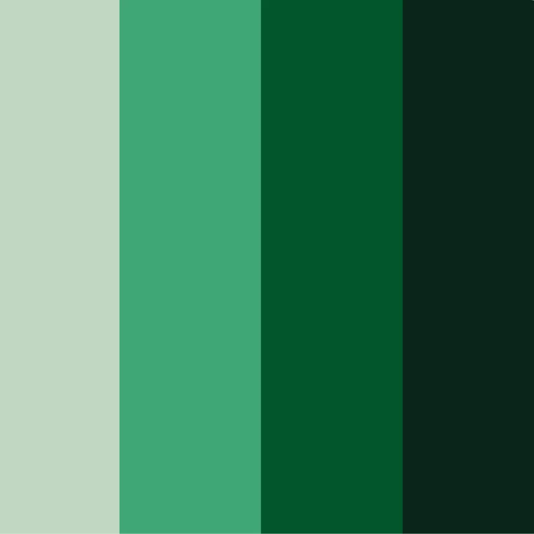 Colectivo, color system