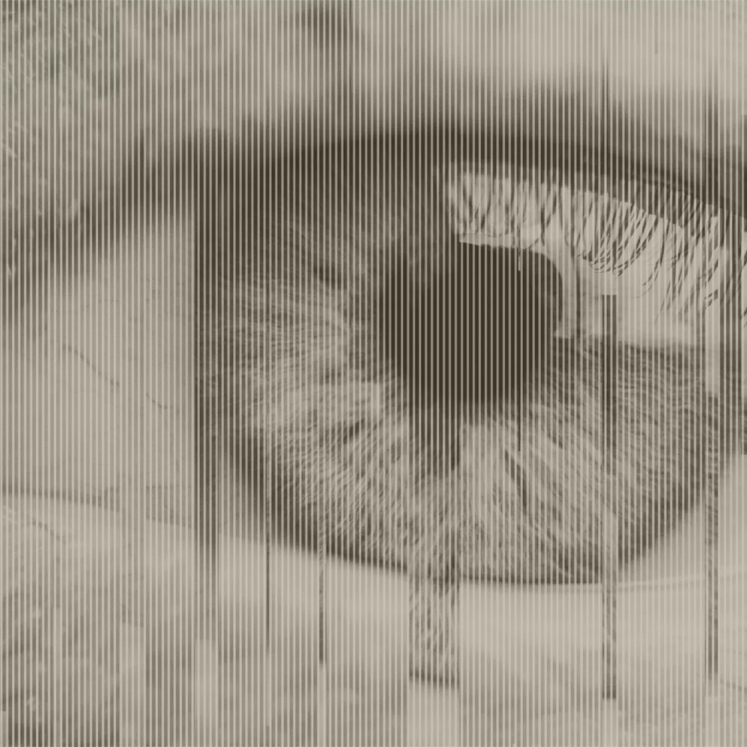 Digital Entropy, gallery5