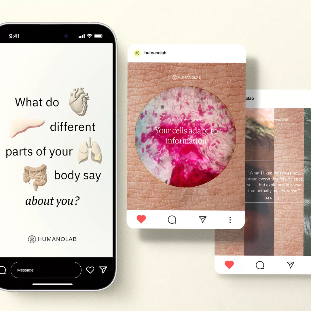 Humanolab, social square 02