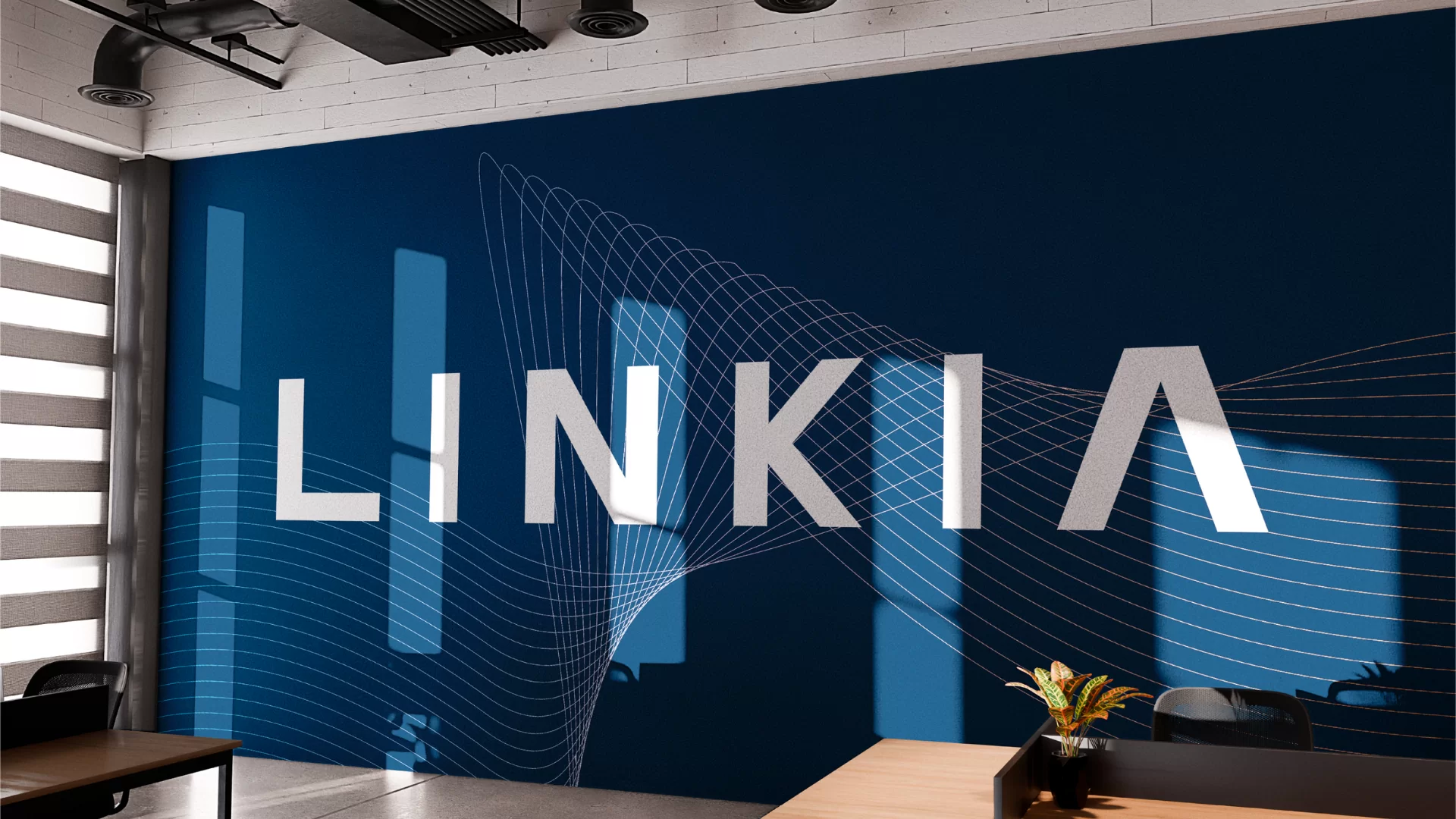 Linkia, gallery6